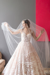 Portrait of beautiful bride in white vintage dress with flower in her hands posing under veil on gray background.