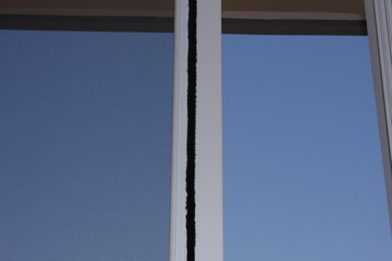 mosquito net on window