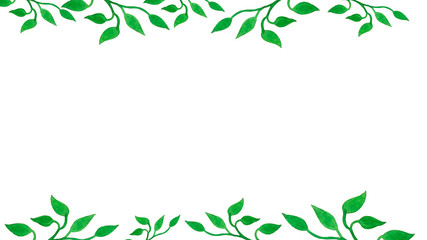 bella cornice acquerello piante foglie verdi