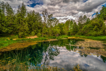 water pond on a green forest with the reflections of the cloudy sky on the surface - Image
