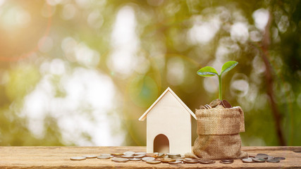 Obraz na płótnie Canvas Property investment or saving money for new home concept. Plant growth on stack of coins in money bag with a small house model on wooden table. Depicts a good beginning. Business and financial concept