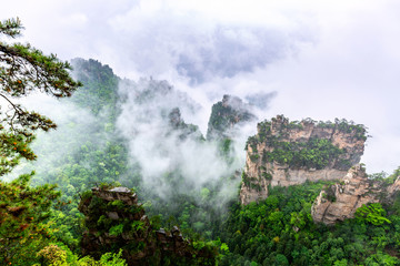 Zhangjiajie National forest park. Famous tourist attraction in Wulingyuan, Hunan, China. Amazing natural landscape with stone pillars quartz mountains in fog and clouds
