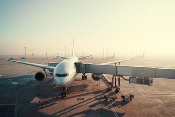 Jet aircraft docked in airport. Parking at terminal gate.