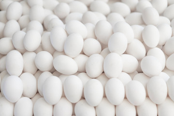 White free-range eggs