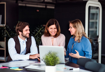 A group of business people sitting in an office, using laptop.