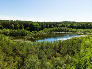 jezioro rezerwat zdręczno czersk tuchola rytel kaszuby las