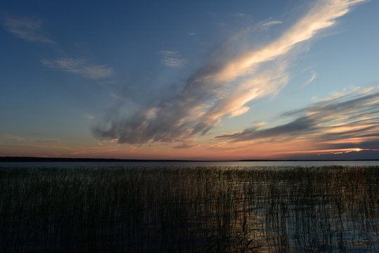 Cumulus clouds fall from the sky into the lake behind the reeds at sunset