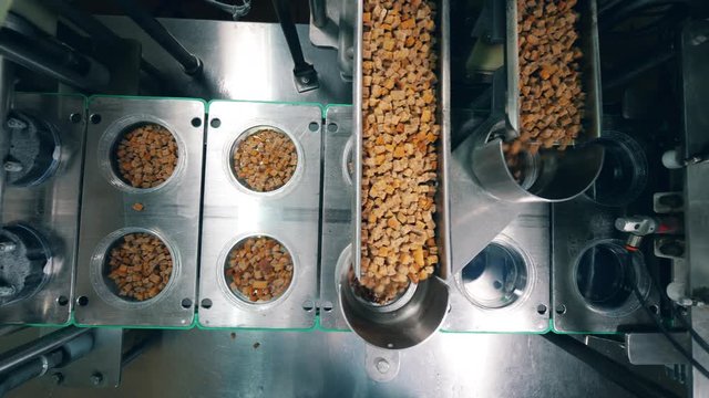 Bread snacks are being poured into plastic boxes mechanically