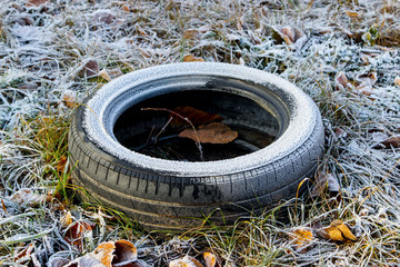 An old tire covered with frost on the green grass and dead leaves covered with frost. Photo with selective focus