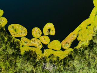 rezerwat jeziorka kozie jeziorka rezerwat przyroda kaszuby z drona