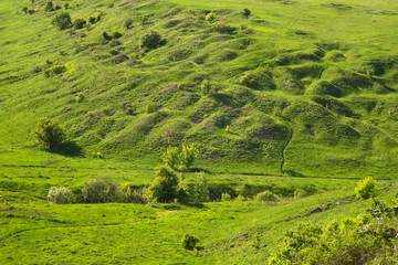 Landscape near Yelets. Lipetsk region. Russia