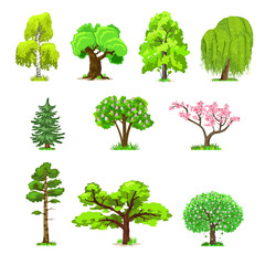 Deciduous trees in four seasons - spring, summer, autumn, winter. Nature and ecology. Natural object for landscape design or park. Cartoon style. Green trees illustration Isolated on white background.