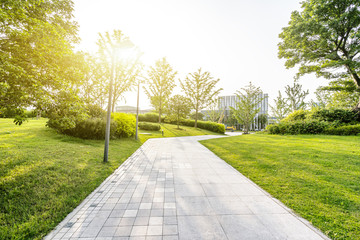 road in park
