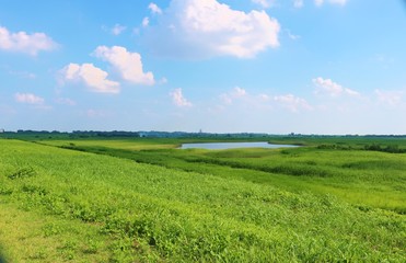 風景　渡良瀬　緑　湖　6月　杤木