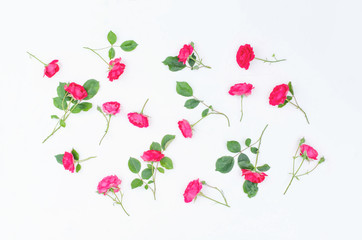 Background of small twigs of scarlet roses on a white background.
