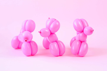 The crowd of balloons in the form of dogs pink.