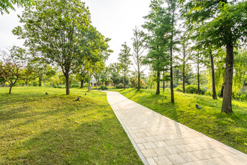 path in the park