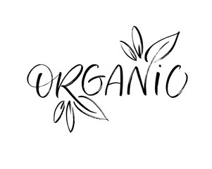 Organic phrase with leaves. Modern vector brush calligraphy. Ink illustration with hand-drawn lettering. 