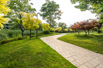 road in park