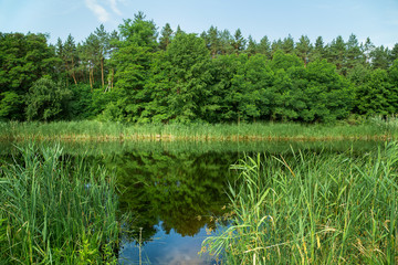 Fototapeta premium summer landscape with a view to the forest, river, shore and beach