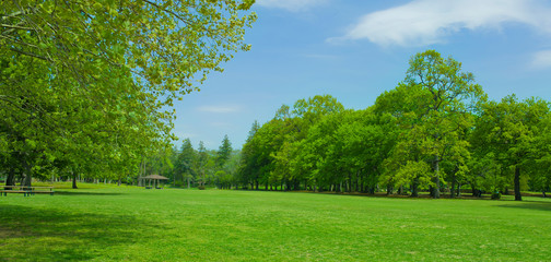 Green park