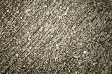 Frost on a old wooden surface. Winter morning dew and freezing. Toned