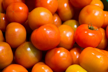 fresh tomatoes on the supermarket counter