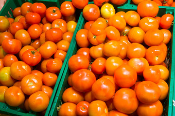 fresh tomatoes on the supermarket counter