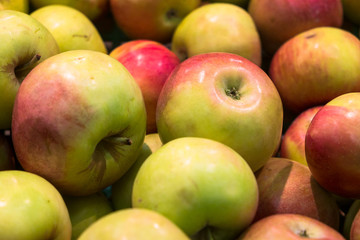 apples on a black background