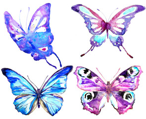 Fototapeta na wymiar beautiful pink blue butterfly,watercolor,isolated on a white background