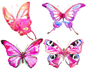 beautiful pink  blue butterfly,watercolor,isolated on a white background