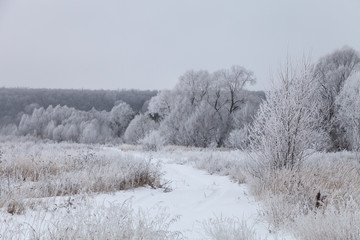 Beautiful winter landscape in russian province