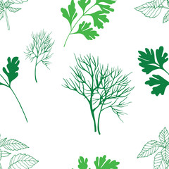 Vegetable seamless pattern with dill, basil and parsley isolated in hand drawn sketch style on white background