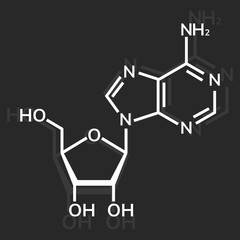 Fototapeta premium Adenosine chemical formula on dark background