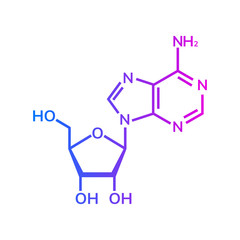 Adenosine chemical formula on white background