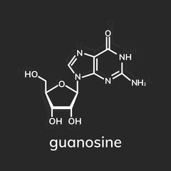 Fototapeta premium Guanosine chemical formula on dark background