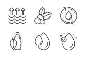 Refill water, Christmas holly and Oil drop icons simple set. Water bottle, Evaporation and Vitamin e signs. Recycle aqua, Ilex aquifolium. Nature set. Line refill water icon. Editable stroke. Vector