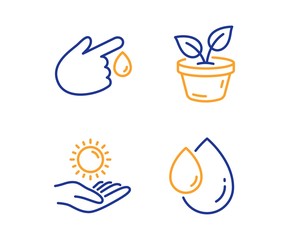 Leaves, Sun protection and Blood donation icons simple set. Oil drop sign. Grow plant, Ultraviolet care, Injury. Serum. Healthcare set. Linear leaves icon. Colorful design set. Vector