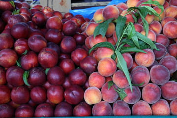 Various fruits for sale in a market in Croatia