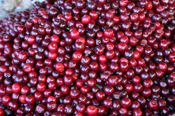 Various fruits for sale in a market in Croatia