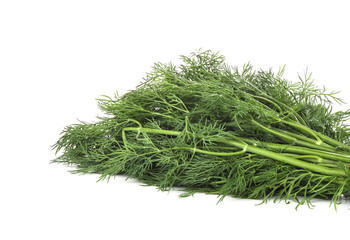 Bunch of fresh fennel on white background