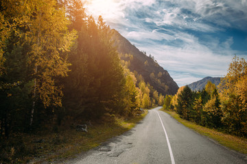Asphalt mountain road among the yellow autumn trees and high rocks, in the bright rays of the sun. Road trip to the most beautiful places in Russia.