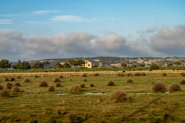 landscape in camargue