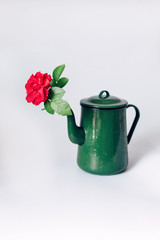 Rose in a jug