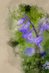 Digital watercolor painting of Stunning Hyacinthoides Hispanica bluebells in natural forest landscape
