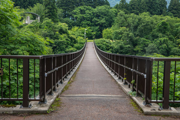 Obraz na płótnie Canvas 吊り橋