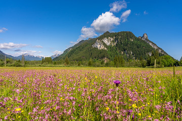 ettaler weidmoos in ammergauer alps, germany