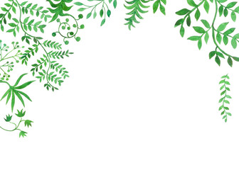 cornice piante verdi acquerello