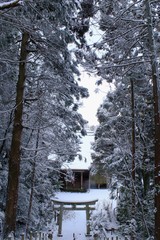積雪した滋賀県彦根市にある長寿院(大洞弁財天)の境内にある奥の院から見た雪景色です