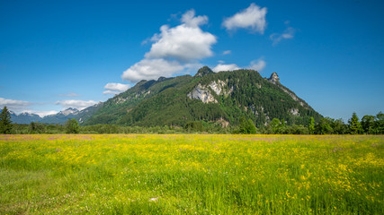 ettaler weidmoos in ammergauer alps, germany